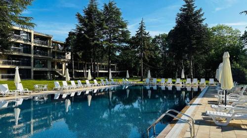 Imagen general del Hotel Queen Nelly Park. Foto 13