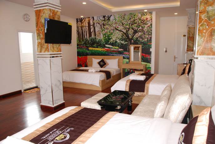 Imagen de la habitación del Hotel Queen Villa 2. Foto 5
