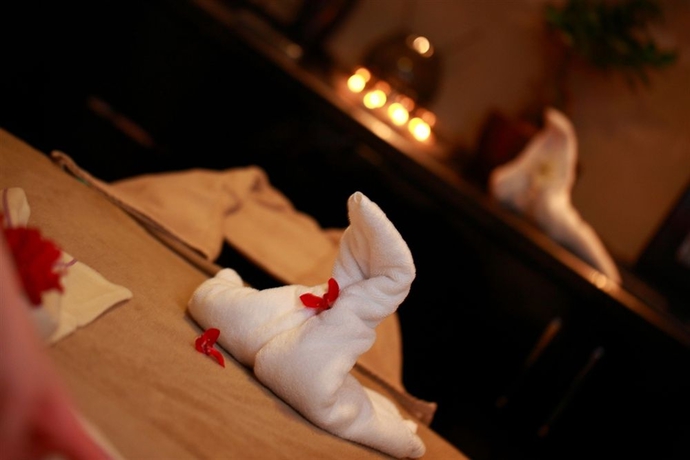 Imagen de la piscina del Hotel Queen and Spa. Foto 15