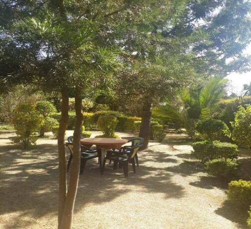 Imagen general del Hotel Queens Garden. Foto 6