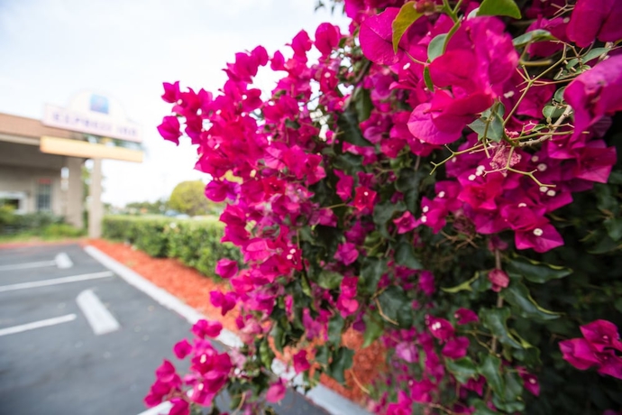 Imagen de los exteriores del Hotel Queens Inn Anaheim. Foto 11