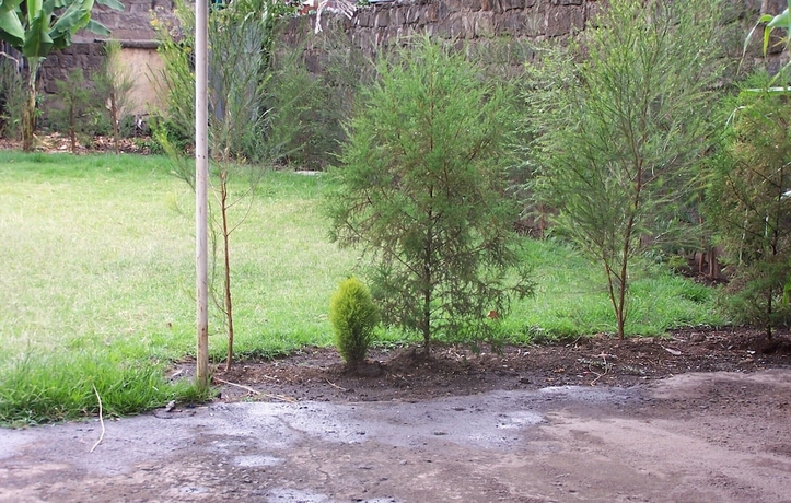 Imagen de los exteriores del Hotel Quest Resort. Foto 11