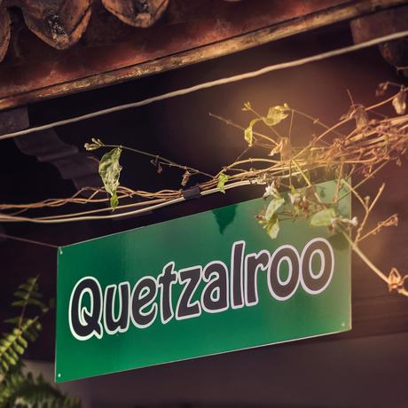 Imagen general del Hotel Quetzalroo Boutique Hostel. Foto 1