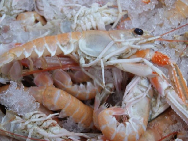 Imagen general del Hotel Quinlan and Cooke Boutique Townhouse. Foto 4