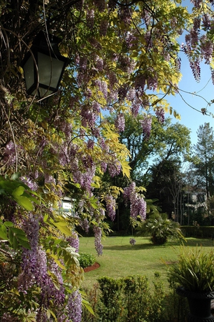 Imagen de los exteriores del Hotel Quinta Da Bela Vista - Madeira. Foto 11