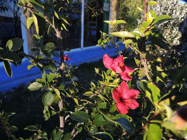 Imagen general del Hotel Quinta Da Fornalha. Foto 5