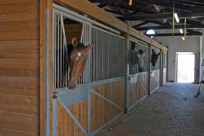 Imagen de los exteriores del Hotel Quinta Da Gafaria. Foto 8