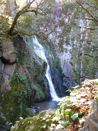 Imagen de los exteriores del Hotel Quinta Da Palmeira - Country House Retreat and Spa. Foto 12