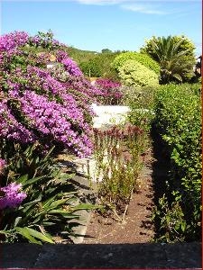 Imagen de los exteriores del Hotel Quinta Das Buganvilias. Foto 4