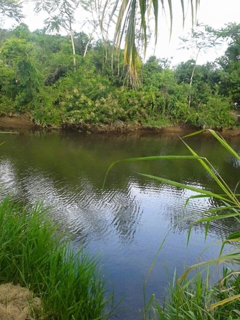 Imagen de los exteriores del Hotel Quinta Das Palmeiras. Foto 14