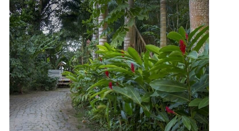 Imagen general del Hotel Quinta Das Palmeiras. Foto 3