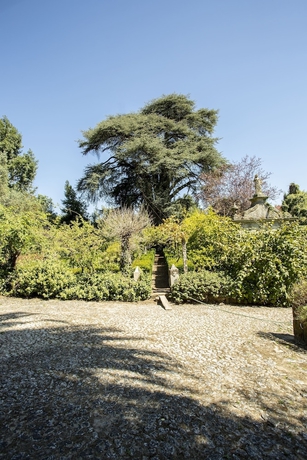 Imagen de los exteriores del Hotel Quinta De S&atilde;o Caetano. Foto 11