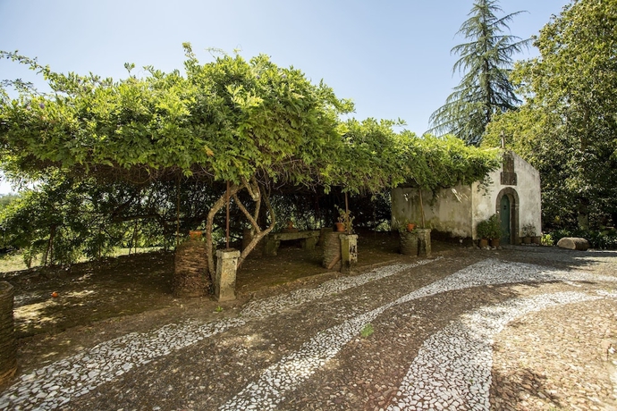 Imagen de los exteriores del Hotel Quinta De S&atilde;o Caetano. Foto 12