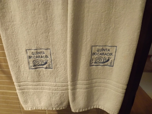 Imagen de la habitación del Hotel Quinta Do Caracol. Foto 7