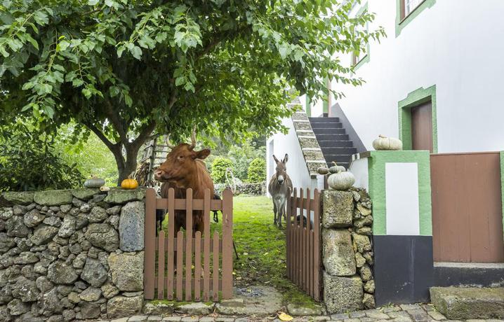 Imagen de los exteriores del Hotel Quinta Do Martelo. Foto 7