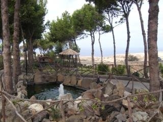 Imagen general del Hotel Quinta Do Serrado. Foto 2