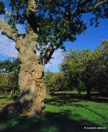 Imagen de los interiores del Hotel Quinta Duro. Foto 16