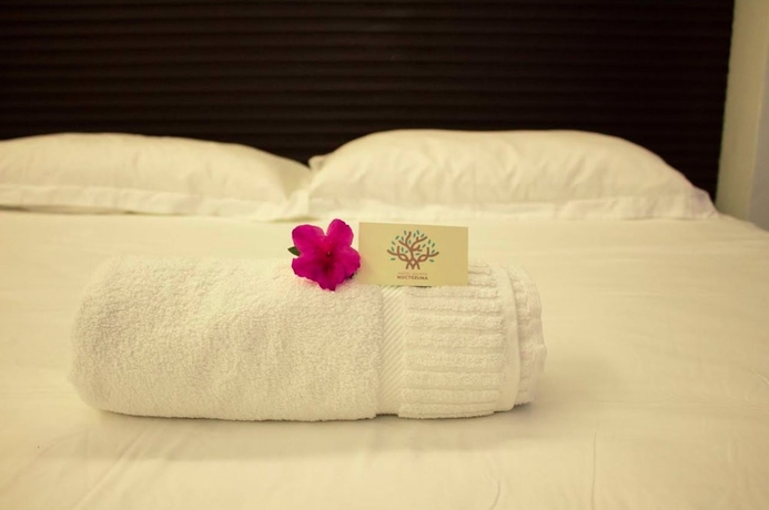 Imagen de la habitación del Hotel Quinta Moctezuma. Foto 3