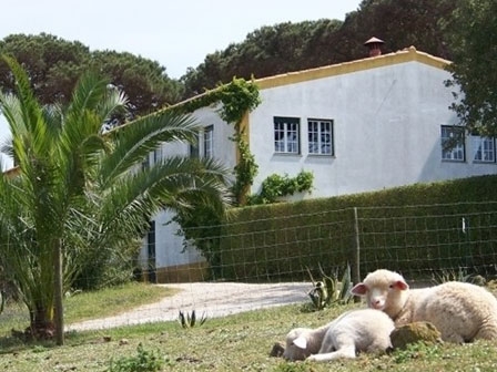 Imagen general del Hotel Quinta da Torre. Foto 2