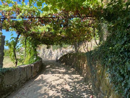 Imagen de los exteriores del Hotel Quinta da Tulha By VimaHotels. Foto 16