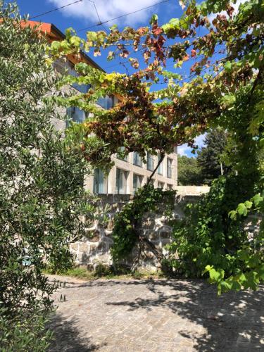 Imagen de los exteriores del Hotel Quinta da Tulha By VimaHotels. Foto 17