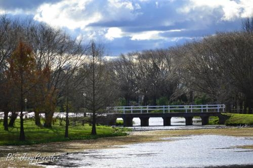 Imagen general del Hotel Quinto Elemento. Foto 4