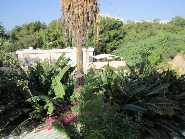 Imagen de los interiores del Hotel Qurum Beach. Foto 14