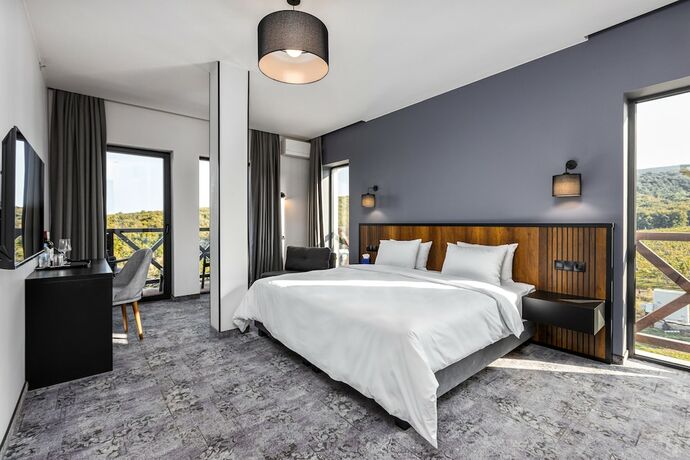 Imagen de la habitación del Hotel Qvevrebi. Foto 13