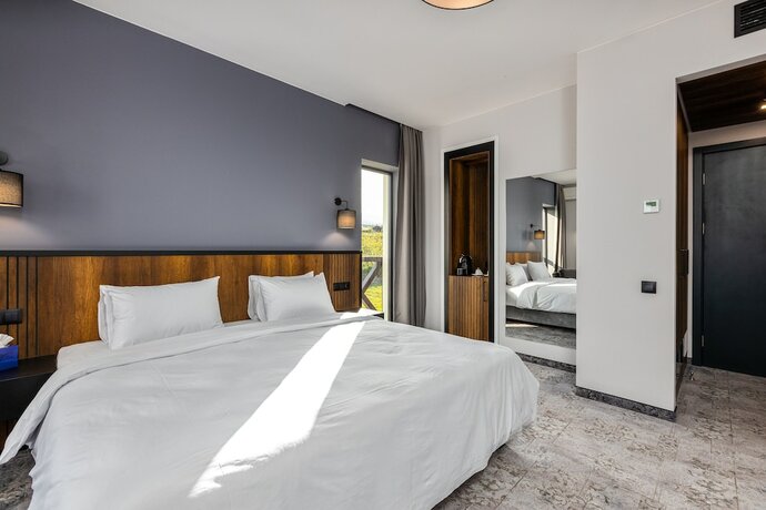 Imagen de la habitación del Hotel Qvevrebi. Foto 14