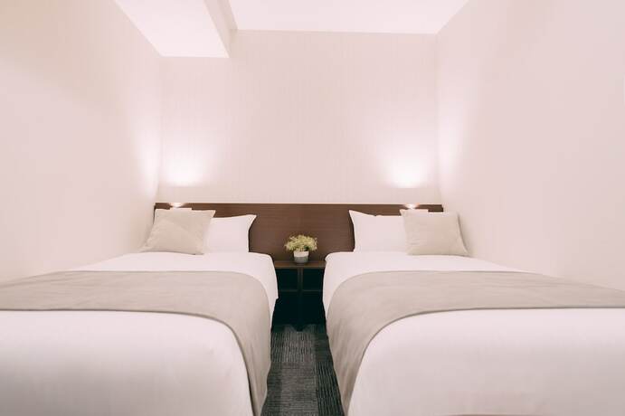 Imagen de la habitación del Hotel R Honmachi, Osaka. Foto 19