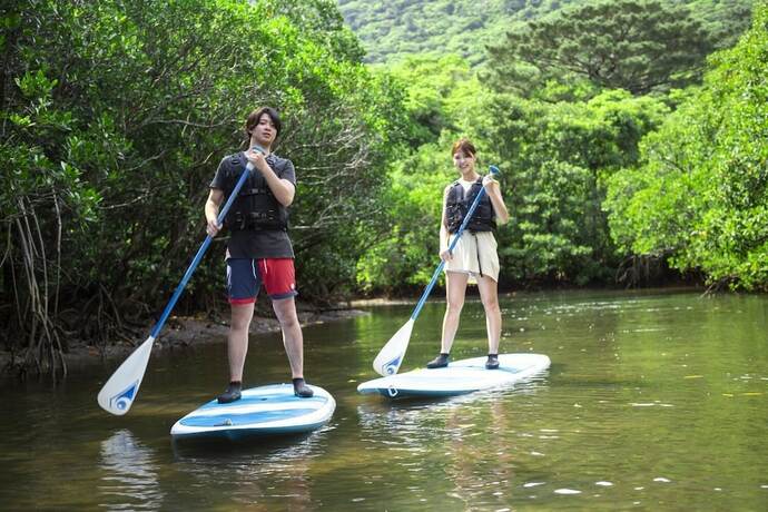 Imagen general del Hotel RESORT INN IRIOMOTEJIMA. Foto 6