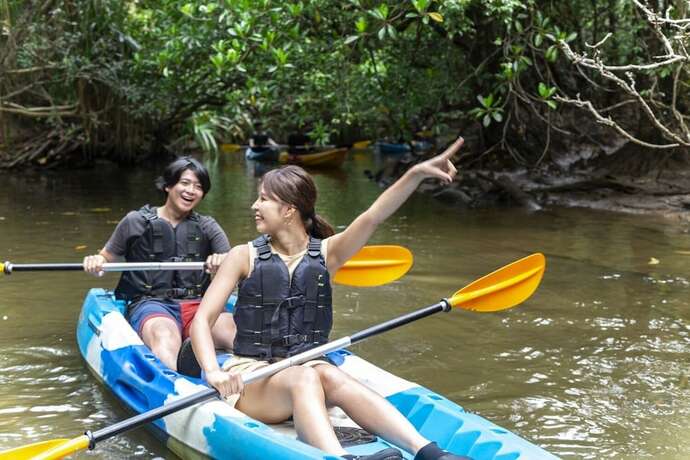 Imagen general del Hotel RESORT INN IRIOMOTEJIMA. Foto 10