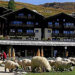 Imagen general del Hotel RIFFELALP RESORT. Foto 1