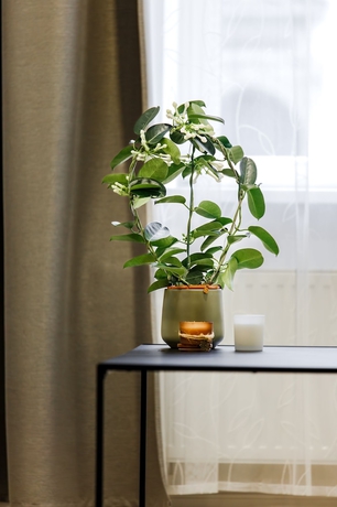 Imagen de la habitación del Hotel RIGAAPARTMENT ELIZABETES 22 Aparthotel. Foto 11