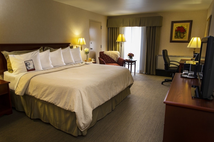 Imagen de la habitación del Hotel RIT Inn and Conference Center. Foto 5