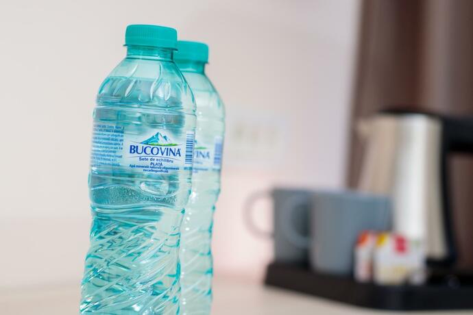 Imagen general del Hotel RIVER, Caciulata. Foto 2