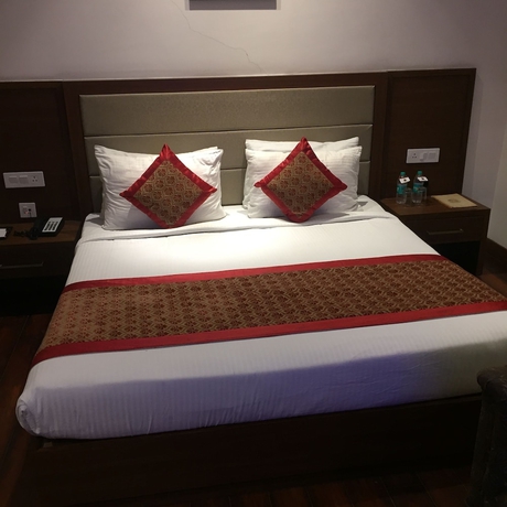 Imagen de la habitación del Hotel RK Riyasat Resort. Foto 14