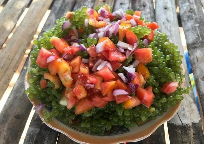 Imagen general del Hotel RMTM\'s Beachfront Accommodation. Foto 6