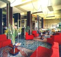 Imagen general del Hotel ROBINIA. Foto 3