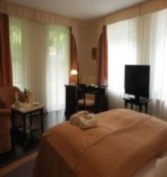 Imagen general del Hotel ROMANTIK HOTEL AND RESTAURANT PATTIS. Foto 3