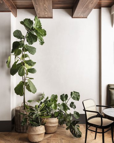 Imagen de los interiores del Hotel ROOST Rittenhouse. Foto 19