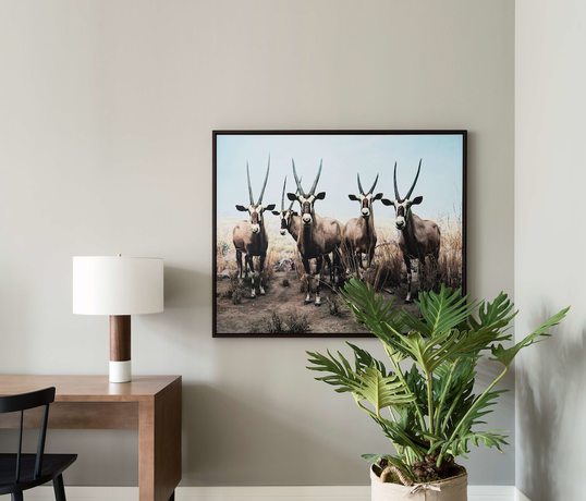 Imagen de la habitación del Hotel ROOST Rittenhouse. Foto 10