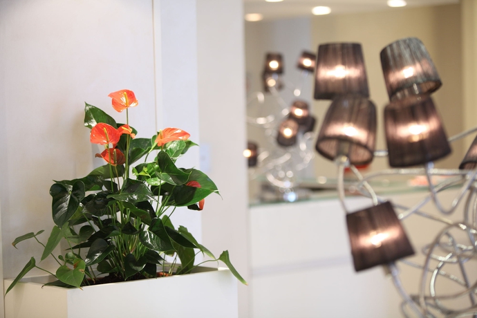 Imagen de los interiores del Hotel ROSABIANCA, Rimini. Foto 14