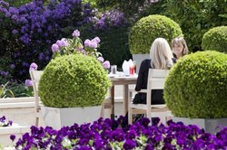 Imagen general del Hotel RUDDING PARK. Foto 4