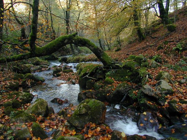 Imagen general del Hotel RURAL LOIZU. Foto 9