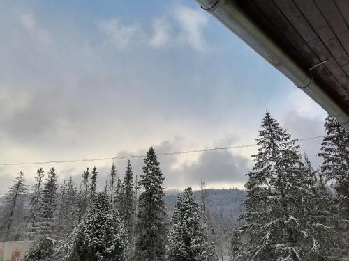 Imagen general del Hotel RYSY. Foto 4