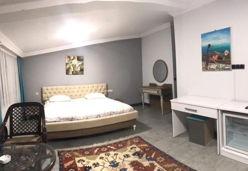 Imagen general del Hotel RZA HOTEL. Foto 4