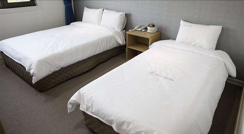 Imagen de la habitación del Hotel Ra. Foto 13
