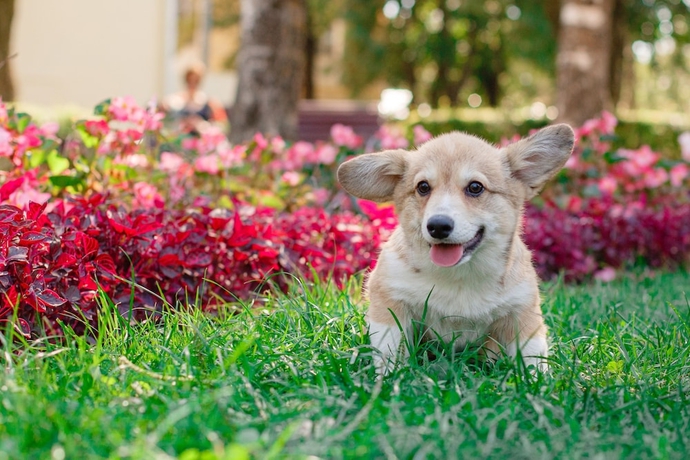 Imagen general del Hotel Rabbit Resort Pattaya. Foto 2