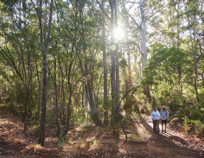 Imagen general del Hotel Rac Margaret River Nature Park, Margaret River. Foto 25